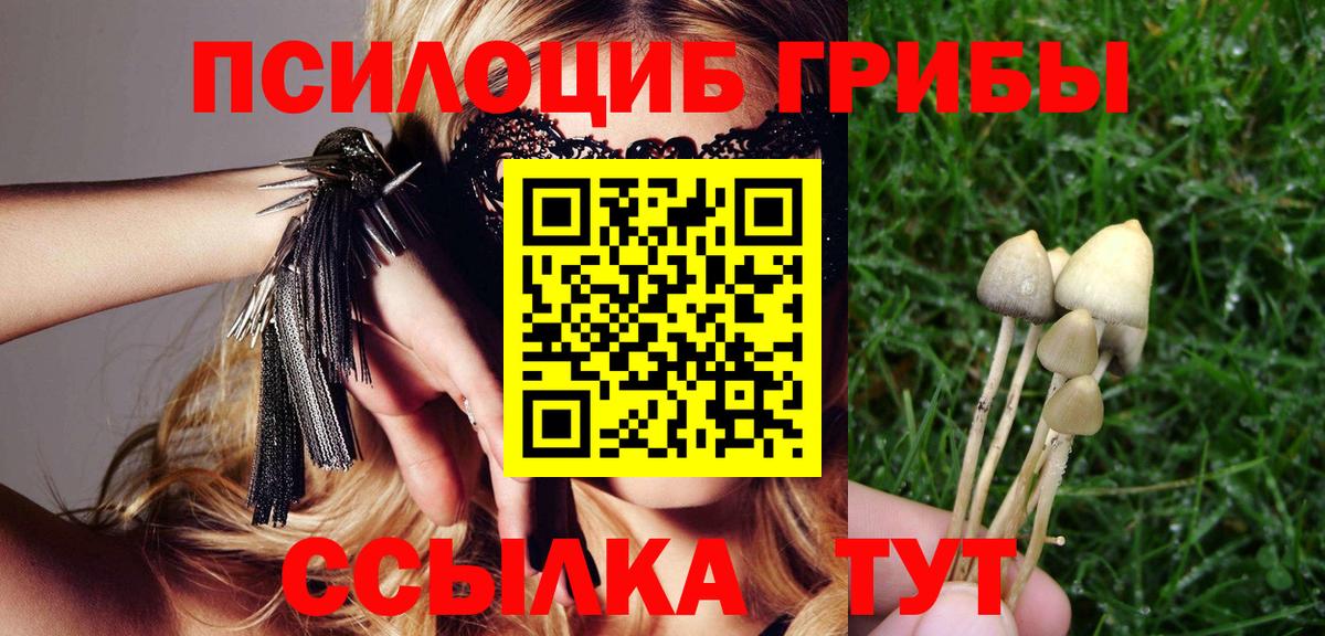 Галлюциногенные грибы Cubensis Бор