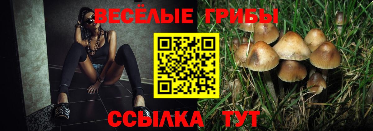 Бор  Псилоцибиновые грибы MAGIC MUSHROOMS  Вход с VPN 
